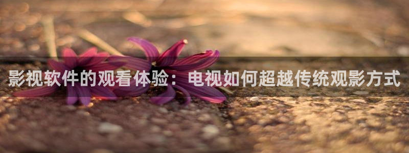 红桃影院免费播放